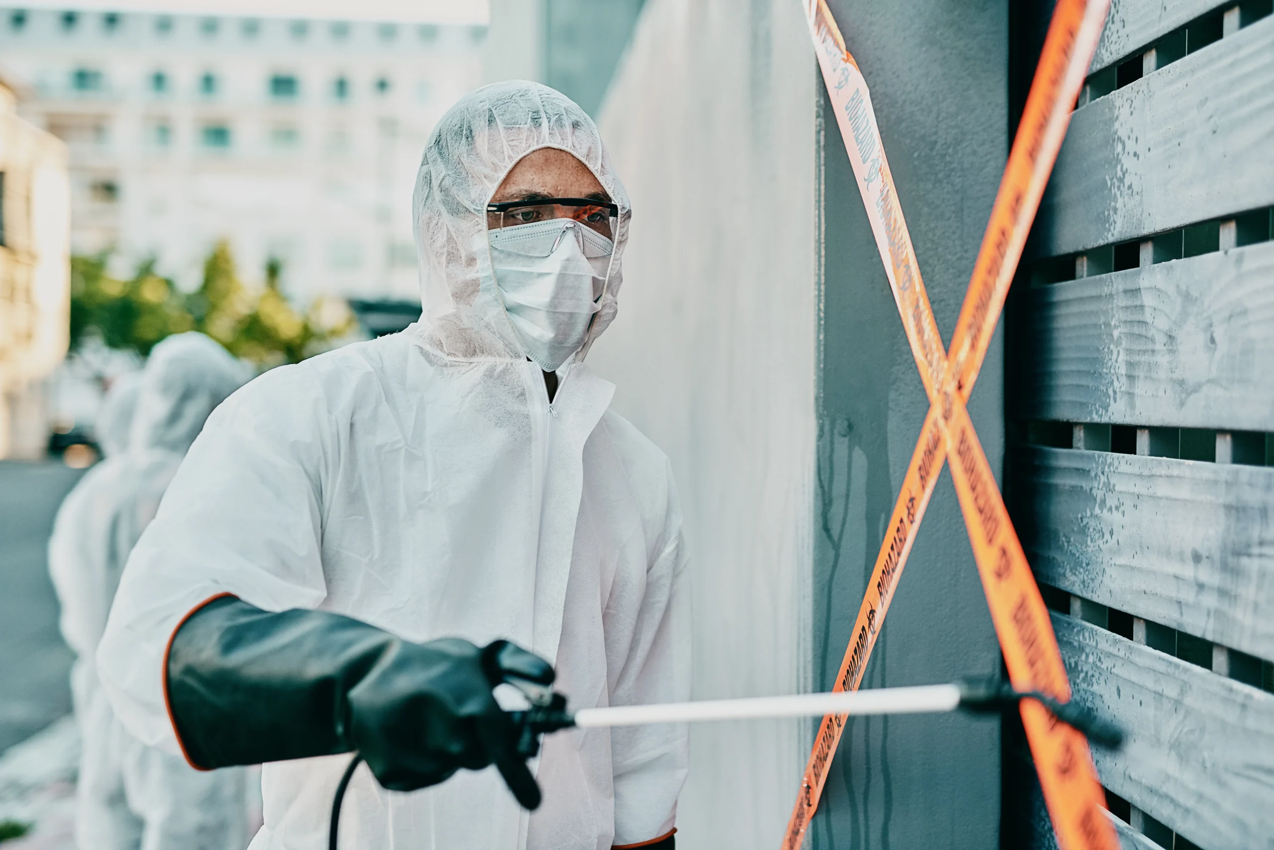 Mold Remediation